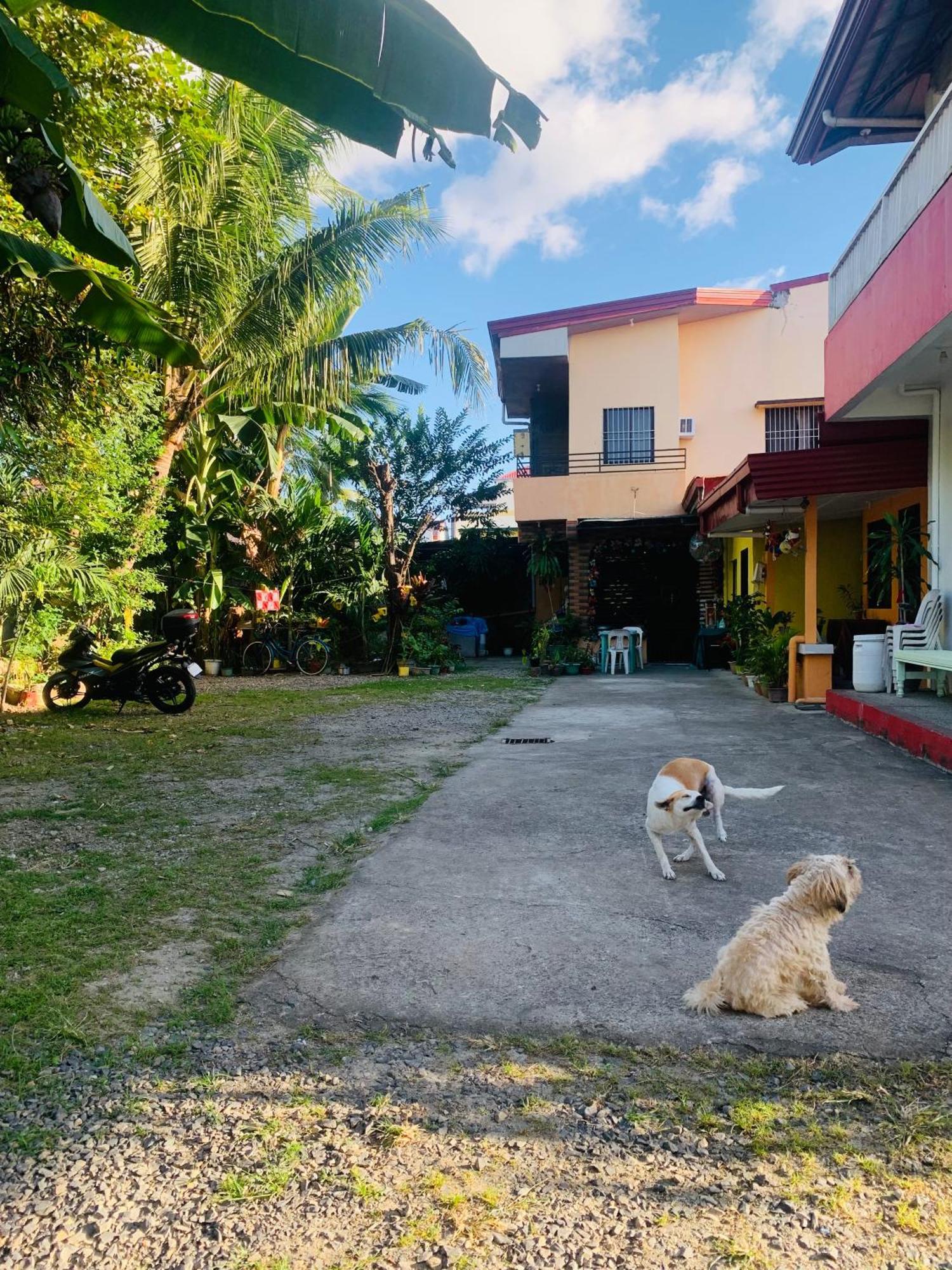 Perlies Inn Tanay Barkada House Eksteriør billede